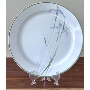 Shadow Iris (Corelle) by Corning Dinner Plate
Replacement - Set of 2